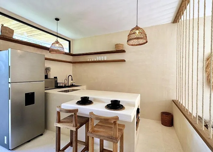Cocay Pi2220 Gym, Balcony,swimming Pool,pets Apartment Tulum